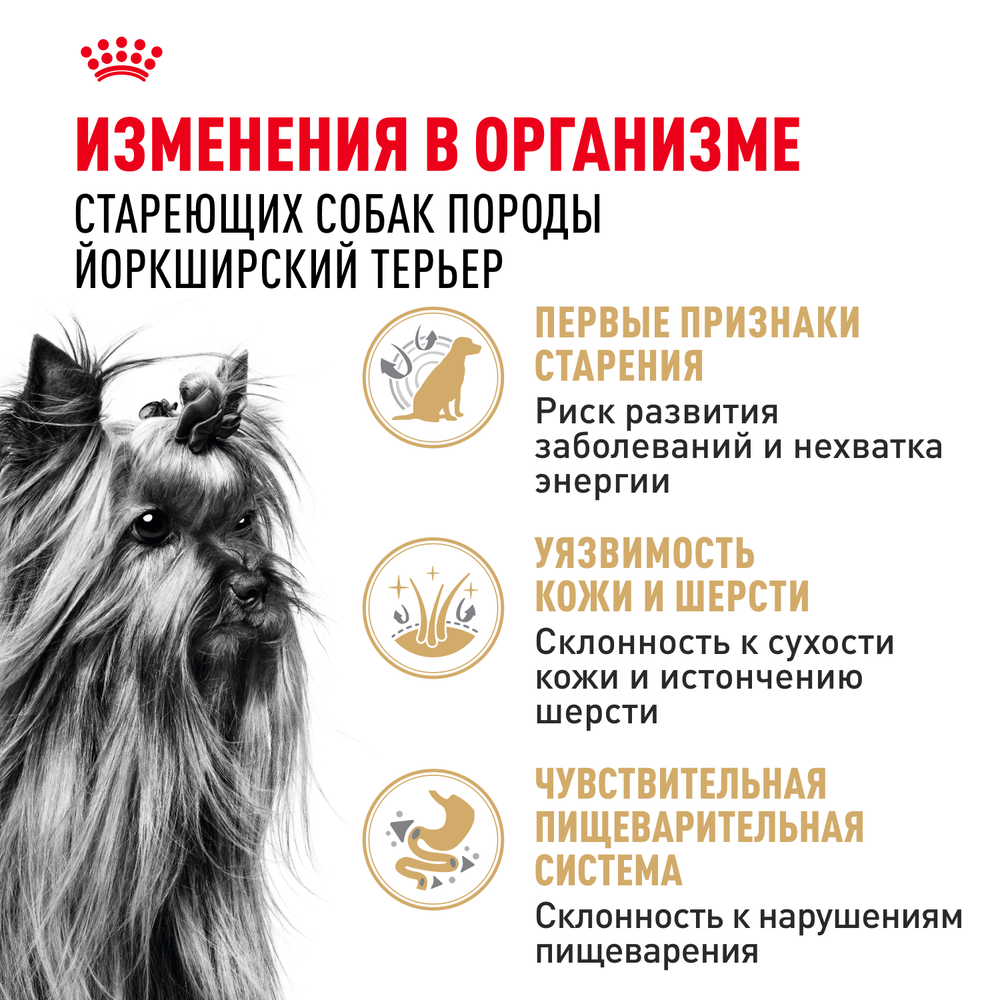 Royal Canin Yorkshire Terrier Adult 8+ Йоркширский Терьер Эдалт Корм сухой для стареющих собак породы Йоркширский Терьер 1,5кг