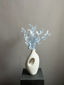 Рускус садовый стабилизированный голубой