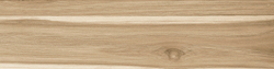 Apricot Керамогранит бежевый AP 0058 15х60