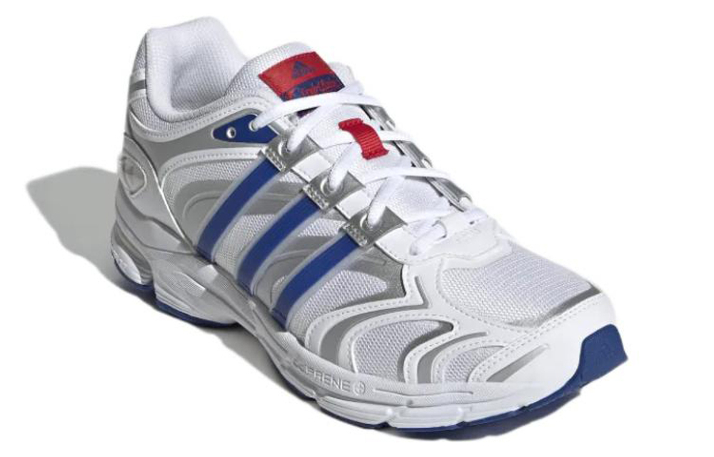 Кроссовки Adidas Spiritain 2000
