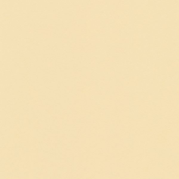 Бумага цветная 120 г/м², A4 21х29.7 см, 50 шт, 23 кремовый/cream, Vista-Artista MPO-A4