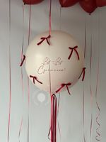 Воздушные шары на девичник №8799