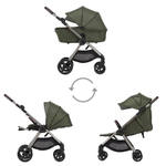 Детская коляска Anex IQ Premium 2 в 1 richi