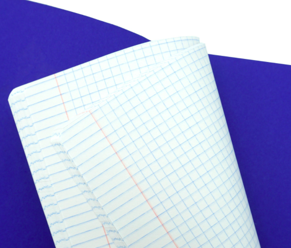 Тетради А5 48л. Скрепка. Клетка-TOTAL BLUE. Королева цветов