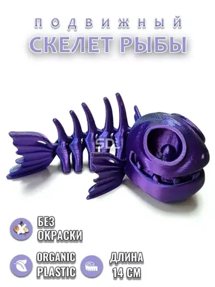 Скелет Рыба