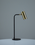 Лампа настольная Moderli V11002-TL Fine