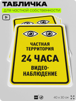 Табличка для частной территории "Частная территория, видеонаблюдение 24 часа", на дом, для участка, организаций, предупреждающая, 40х30 см, Silver Plane x Айдентика Технолоджи