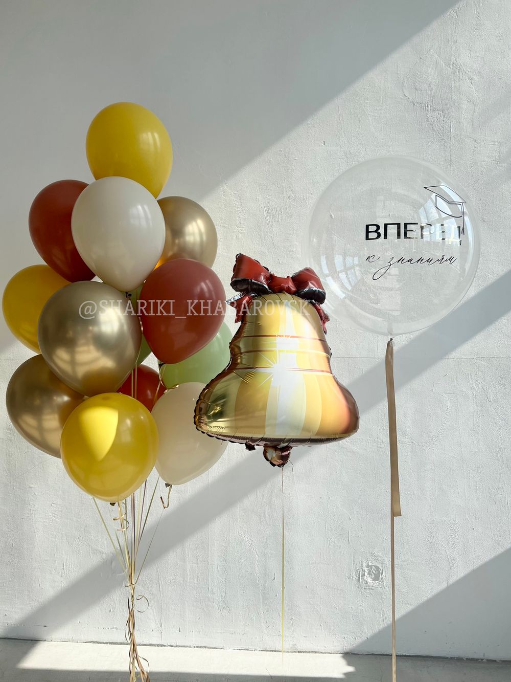 Воздушные шары на 1 сентября №1/43 