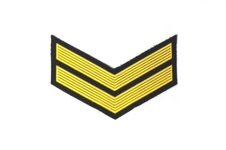 Курсовка пластизол. 2 курс