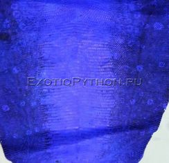 Кожа ящерицы SK-31