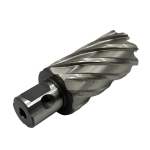 Сверло корончатое 32х50 мм, HSS, Universal / Weldon 19 TORNERI