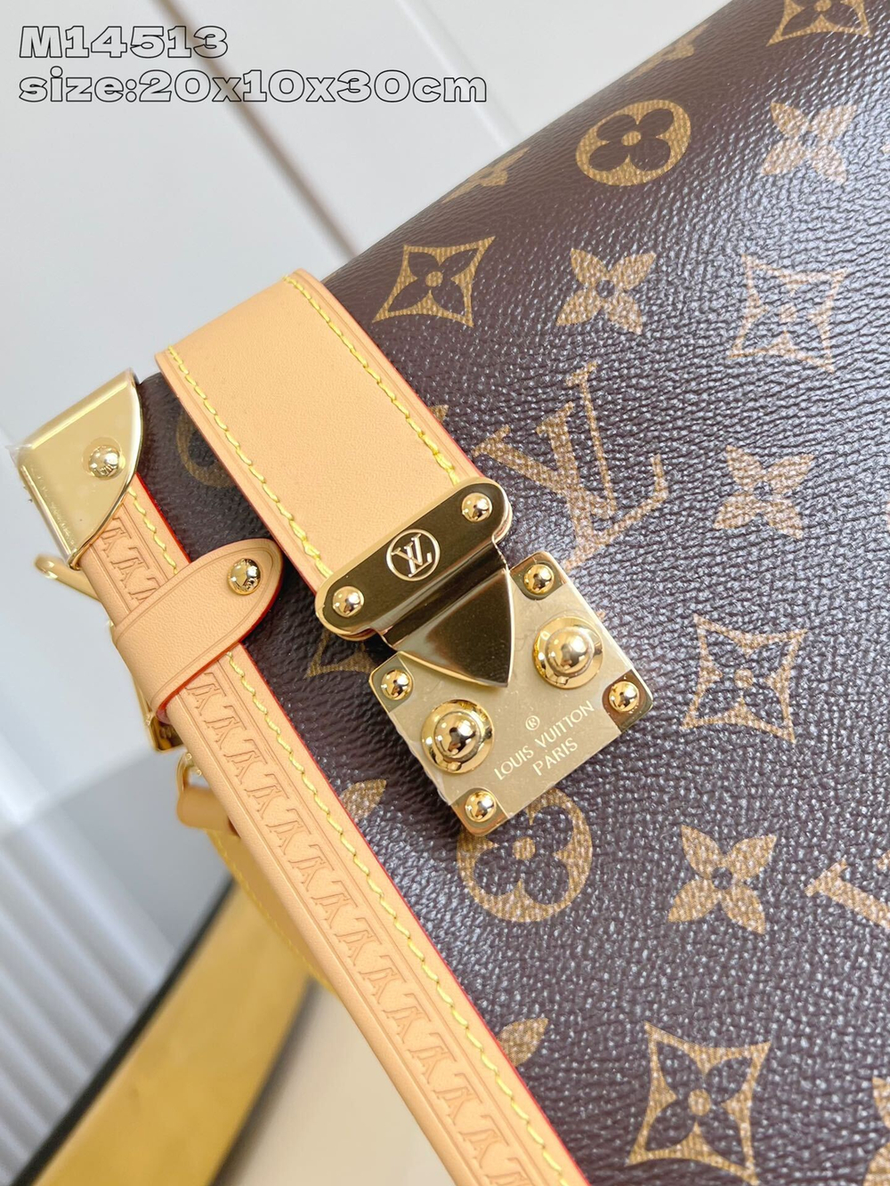 Louis Vuitton Side Trunk GM