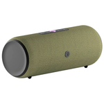 Умная портативная колонка Яндекс Станция Стрит, Зеленый