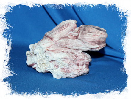 Барнакл 5 - 12 см