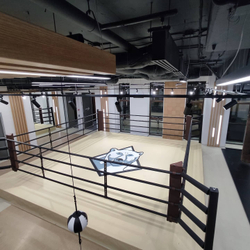 Ринг боксерский TARGEX на помосте высотой 0,3 м