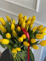 АКЦИЯ тюльпан - классика ЖЕЛТЫЙ