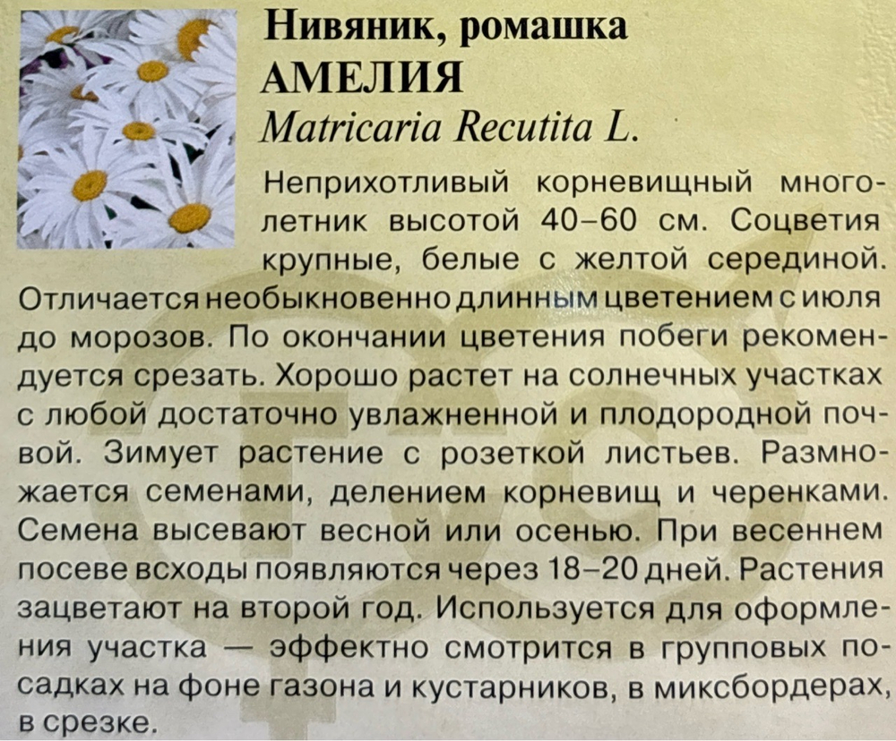 Нивяник Амелия 0,2 г СМЦ-228