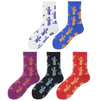 Носки женские «Pippi- Кактусы», цвет в ассортим, р-р 36-40