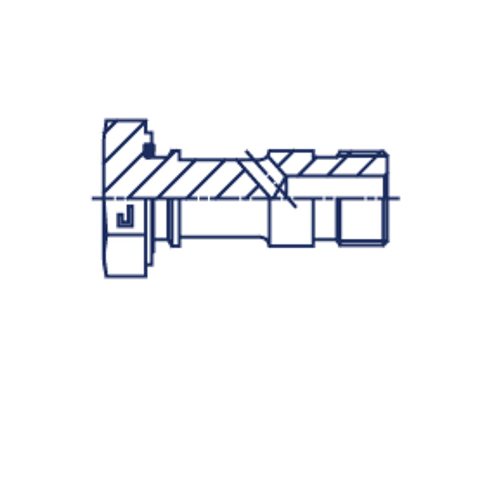 Болт BANJO BSP 1/4"