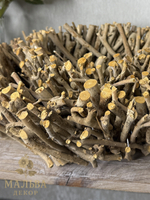 Набор декоративных блюд из чайного дерева "Прайм" CAMPO Home & Garden