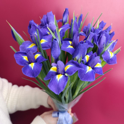 Букет синих ирисов