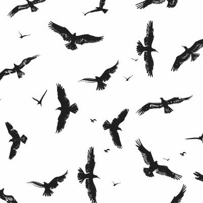 Силуэты черных воронов в минималистичном стиле