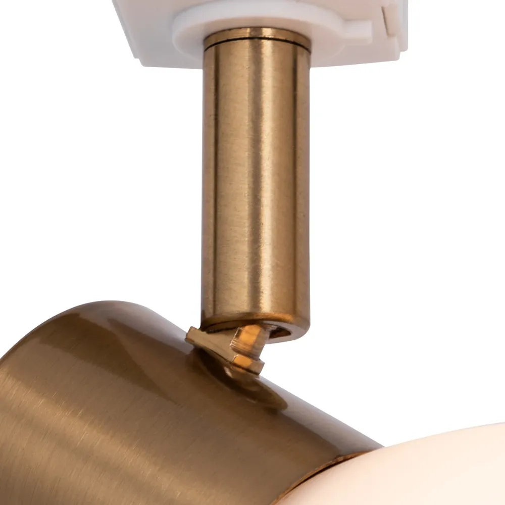 Трековый светильник Arte Lamp FALENA