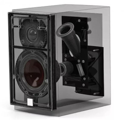 Dali Menuet Walnut — полочная пассивная акустическая система (пара)