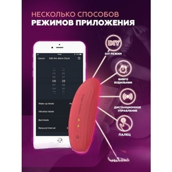 Вибратор в белье анатомический Nyx (с приложением)