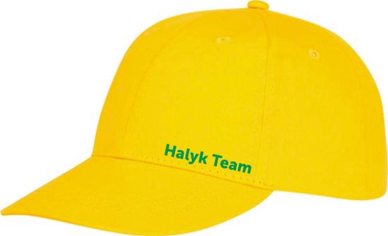 Подарочный набор Halyk Team Термос+Кепка