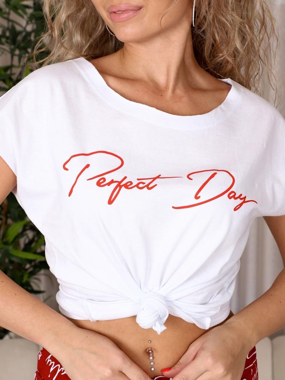 Виртуоз - костюм кирпичный Iv-capriz (Акция)