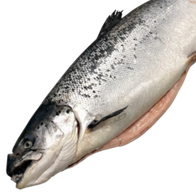 Семга охлажденная тушка 4/5 кг