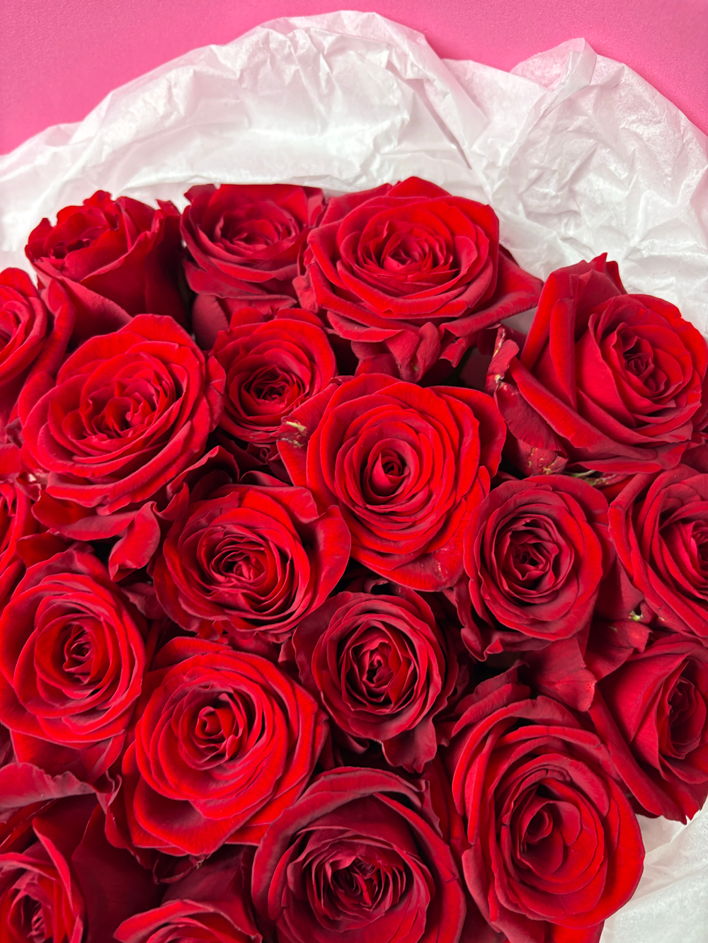 25 красных роз 50 см