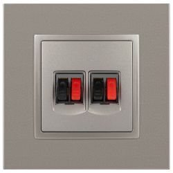 Розетка ЭРА Elegance 14-3112-16 аудио двойная, титан