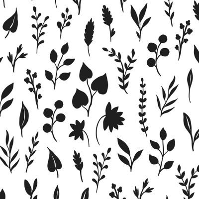 Травы в формах силуэтов. Ботанические наброски листьев, веточек, ягод.