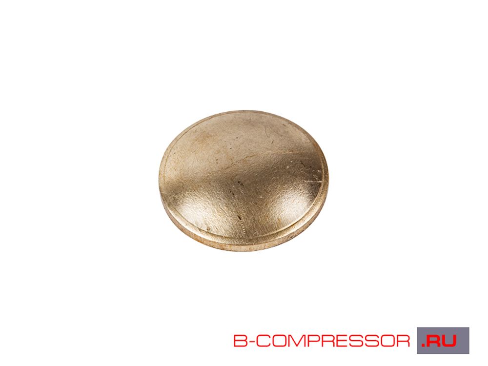 Заглушка С415.01.00.203