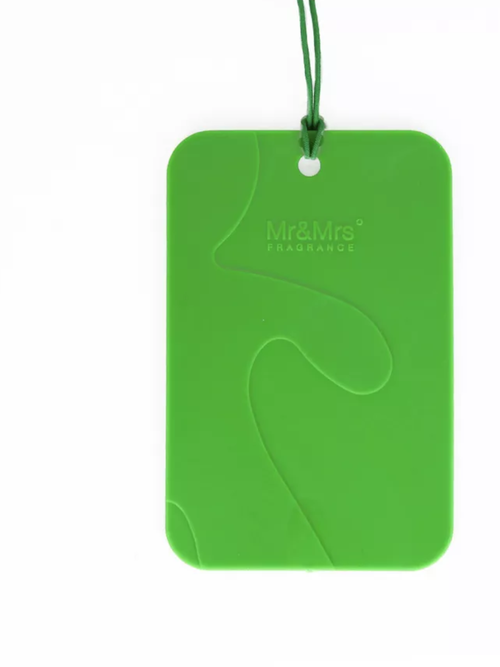 CESARE CARD/ Аромакарточка для автомобиля бородовый зеленый/ WARM SPICY/ Острые специи