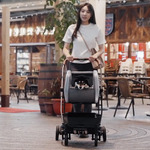 Коляска для собак/животных NeoRider Multi-purpose Detachable Pet Stroller-Wagon for Small Breed Dogs, Cats and Puppies – Silver Mist
