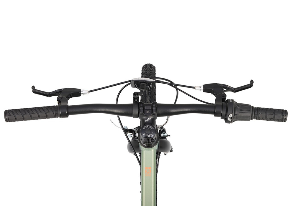 Maxiscoo 5BIKE 24'' M200 (2025)