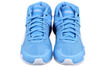 Кроссовки Nike Kd 13 Tb Promo