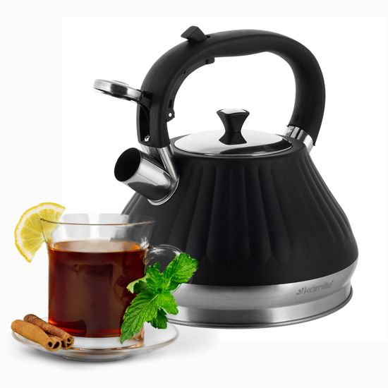 Чайник 3 л. из нержавеющей стали со свистком Kamille KM 0858