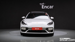 Porsche Panamera (971) 2.9 AWD Platinum Editions (08.2023)