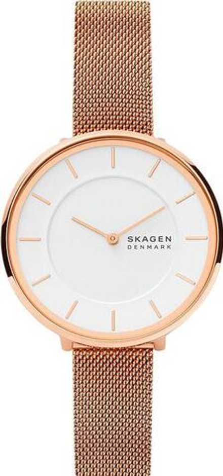 Женские наручные часы Skagen SKW3013