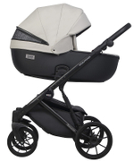 Детская коляска Riko Basic Montana Ecco 3 в 1 31 Light Silver-Black