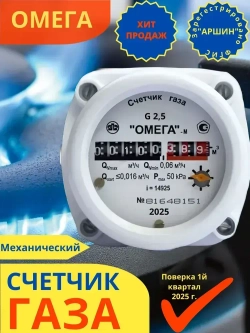 Счетчик газовый Омега G2.5 РЛ Ротационный, для помещений, 2025 г.в., поверка РФ (8 лет)