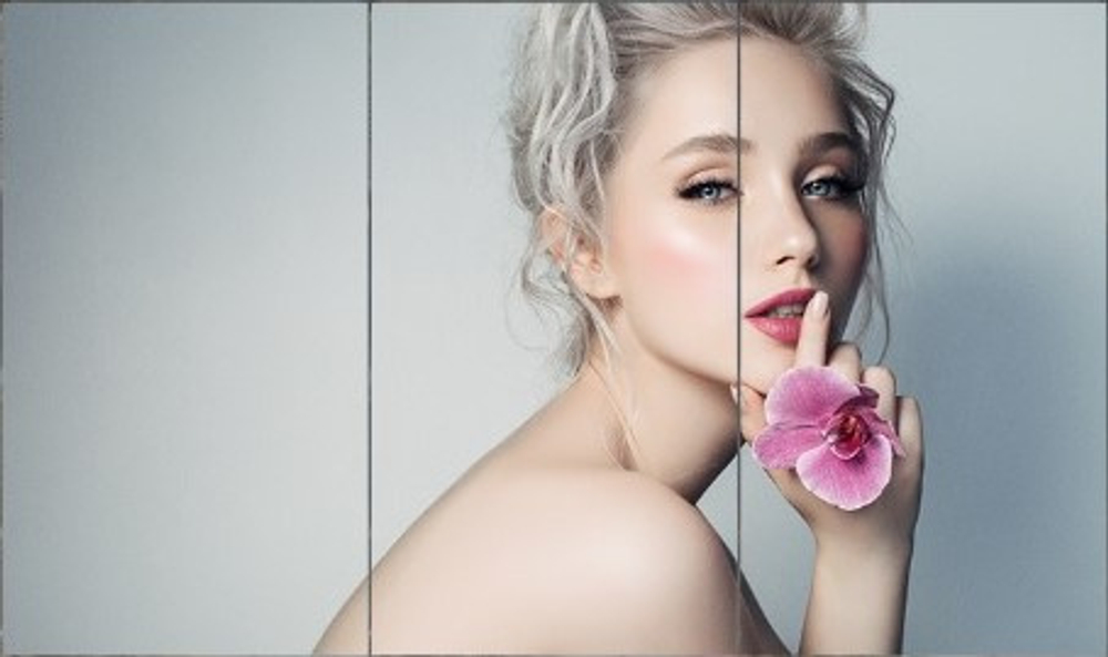 Панель LCD 55' GoodView PD55N10