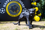 Panthers 3 years