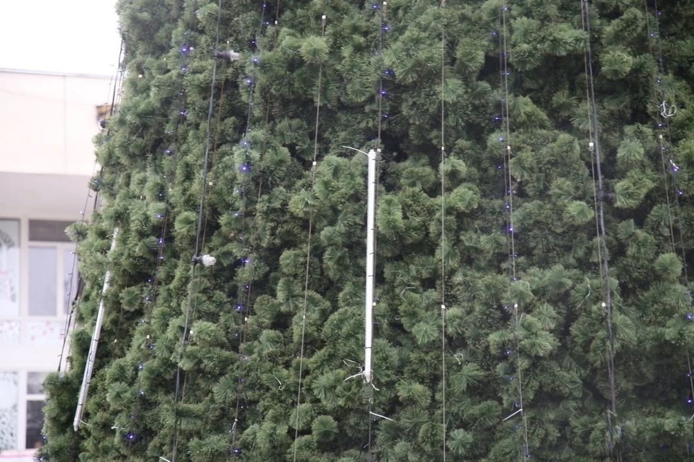 Уличная Гирлянда: холодный белый "Тающие сосульки" для елок от 3 до 19 м