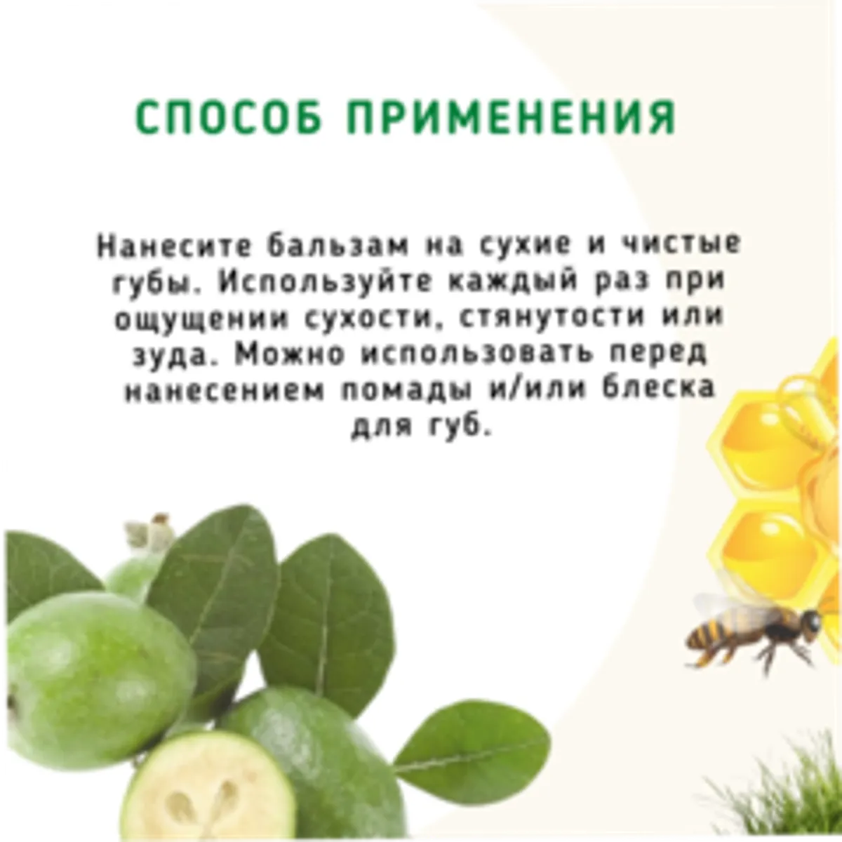 Бальзам для губ «Фейхоа и эвкалипт» с пчелиным воском/5 мл