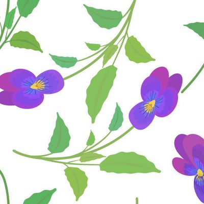 Анютины глазки. Полевые цветочки